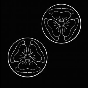 岳⋯好舒服⋯丝袜
