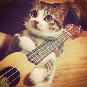 岳⋯好舒服⋯丝袜
